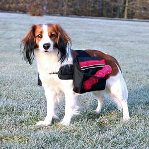 Trixie Zaino per Cani