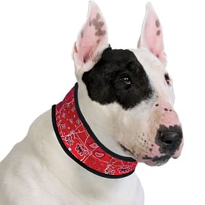 ACK Collare Refrigerante Red Western per Cani Taglia S