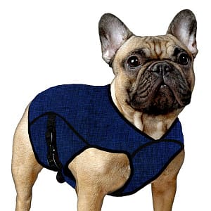 ACK Giacca Refrigerante Blu per Cani Taglia M