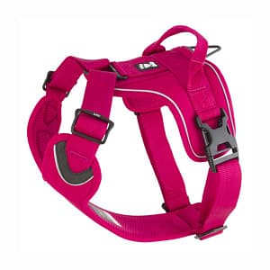 Hurtta Pettorina Active Ciliegia per Cani Taglia S