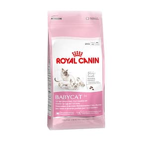 Royal Canin Gatto Babycat 34 Secco Peso Confezione 400 g