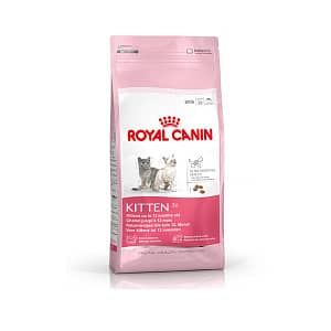Royal Canin Gatto Kitten 36 Secco Peso Confezione 2 Kg