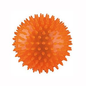 Trixie Gioco Riccio Galleggiante per Cane Diametro 8 cm