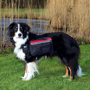 Trixie Zaino per Cani Taglia L