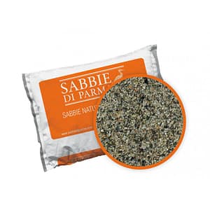 Sabbia essiccata 505/510/515 Bacchi (Sacco da 25 Kg)