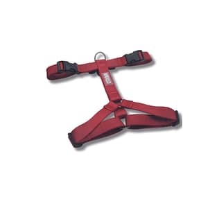 Morso Pettorina ad H Ruby – XS