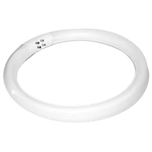 Activeshop Lampada Ad Incandescenza (Fluorescente) Lente D’Ingrandimento 22W S4