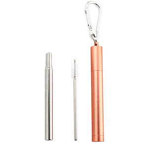 Naturalis Stainless Steel Straw set per uso quotidiano