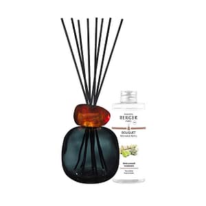 Maison berger paris Set regalo diffusore di aromi Mineral Black + ricarica Wilderness 180 ml