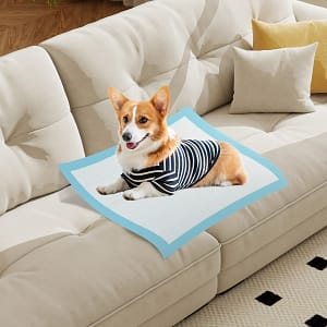 Costway Tappetini per animali domestici a 6 strati a prova di perdite, Asciugatura rapida tappetini da interno ed esterno 76 x 76 cm Blu