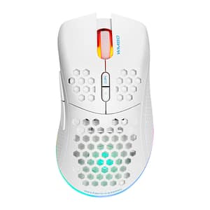 DELTACO GAMING – WHITE LINE WM80 – Mouse ottico da gioco senza fili 4800 DPI, 1000 Hz, ultra leggero, RGB, 7 pulsanti – nuovo