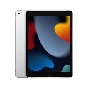 iPad di 9a generazione 10,2  (2021), 256 GB – Wifi + Cellulare – Argento – Ricondizionato – Buono stato