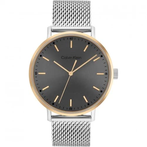 Orologio Uomo Calvin Klein Modern Mesh 25200047