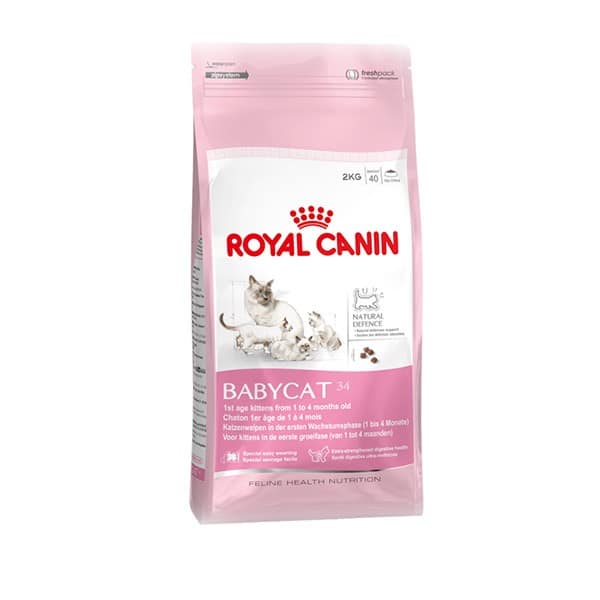 Royal Canin Gatto Babycat 34 Secco