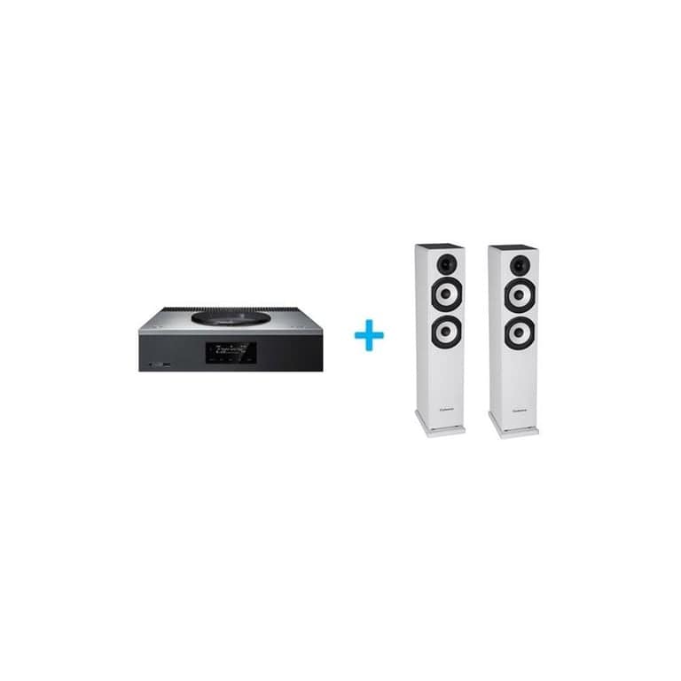 Amplificatore hi-fi Technics SA C600EG S Silver + una coppia di diffusori da pavimento Cabasse Jersey MT32 2 Special Edition White m – nuovo