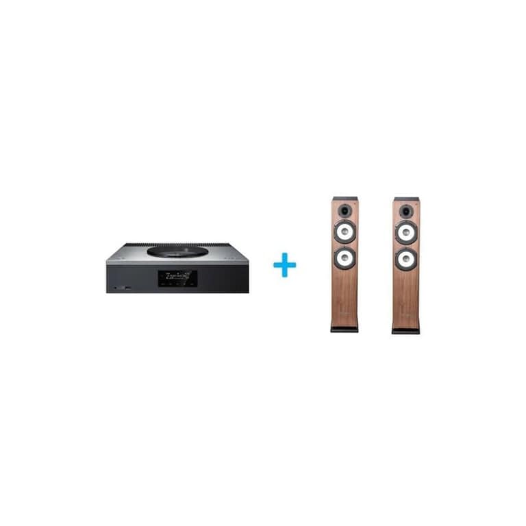 Amplificatore Hi-Fi Technics SA C600EG S Silver + una coppia di diffusori da pavimento Cabasse Jersey MT32 2 Edizione Speciale Noce – nuovo