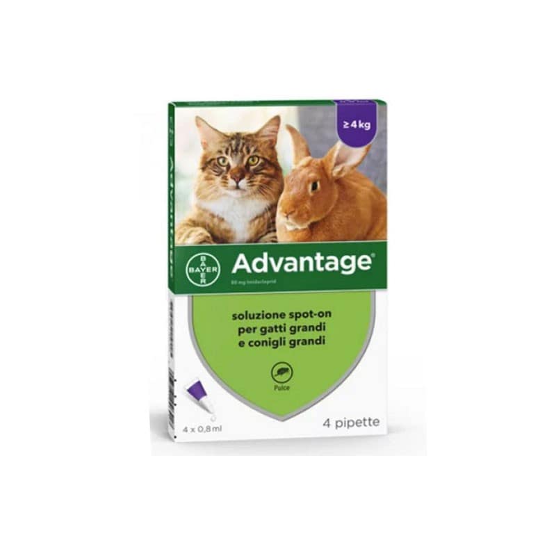 Elanco Advantage Spot-On per Gatti, Conigli e Furetti Taglia Inferiore a 4kg