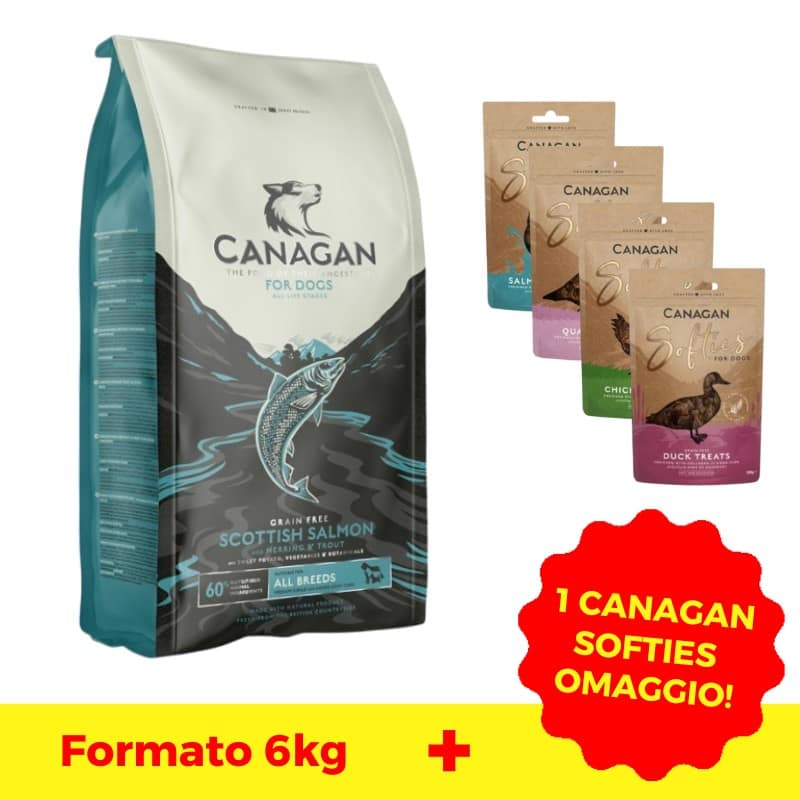 Canagan Scottish Salmon All Breeds per Cani Peso Confezione 6 KG + 1 SNACK OMAGGIO!