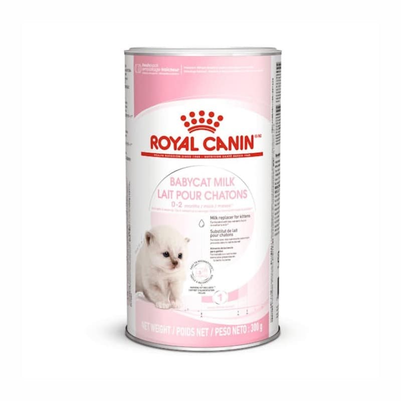 Royal Canin Babycat Milk per Gatti - 300 g